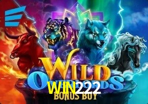  WIN222
